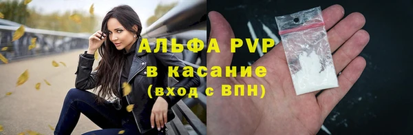 стафф Белокуриха