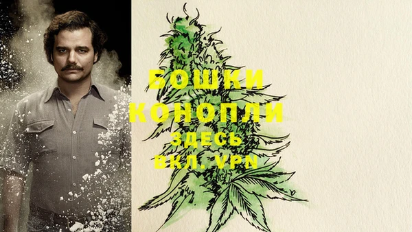 стафф Белокуриха