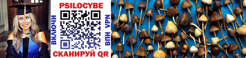 МЕГА ССЫЛКА Уварово Псилоцибиновые грибы MAGIC MUSHROOMS